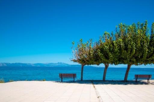 Lavish & Spacious Apt With Stunning Seaview, 10 Min Ath Airport Artemida  Exterior photo